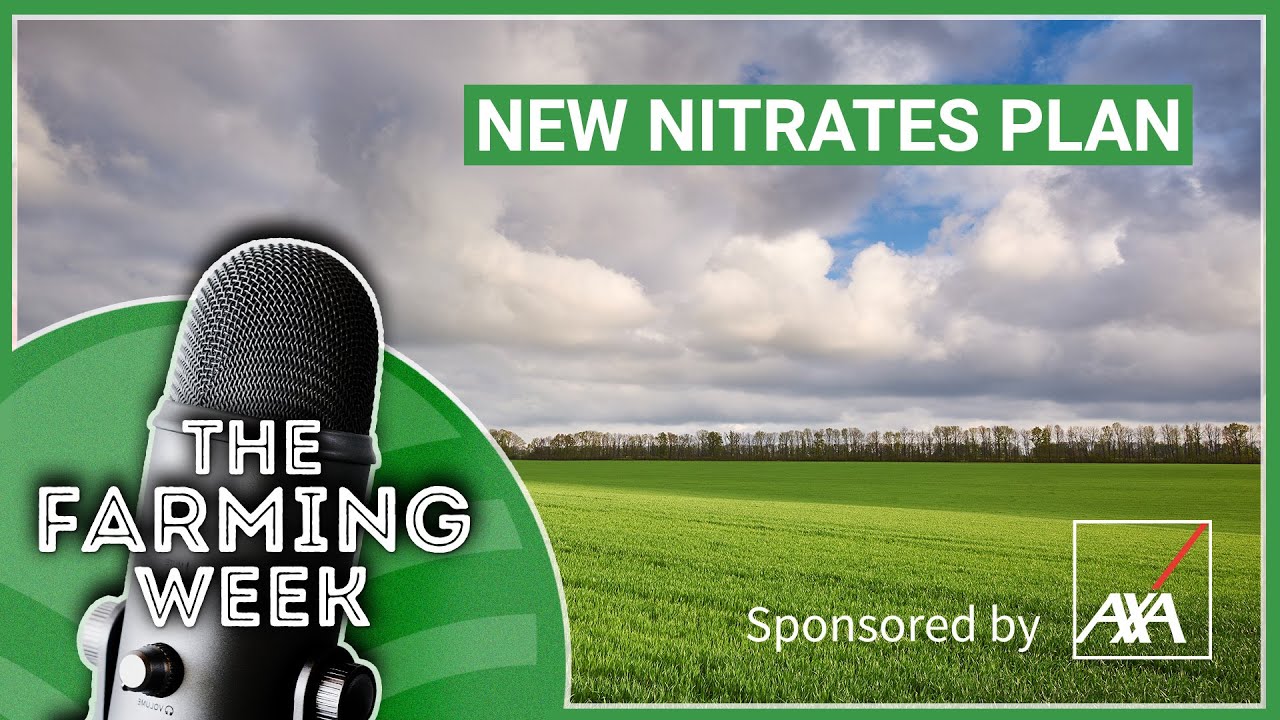 New nitrates plan | Beef price uptick | Bird flu biosecurity