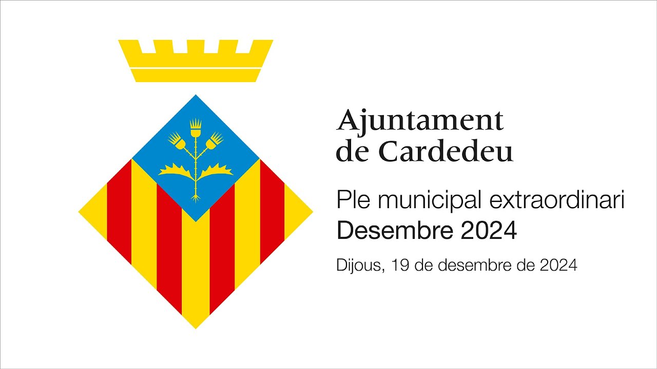 PLE EXTRAORDINARI DESEMBRE 2024 | Dijous, 19 de desembre de 2024