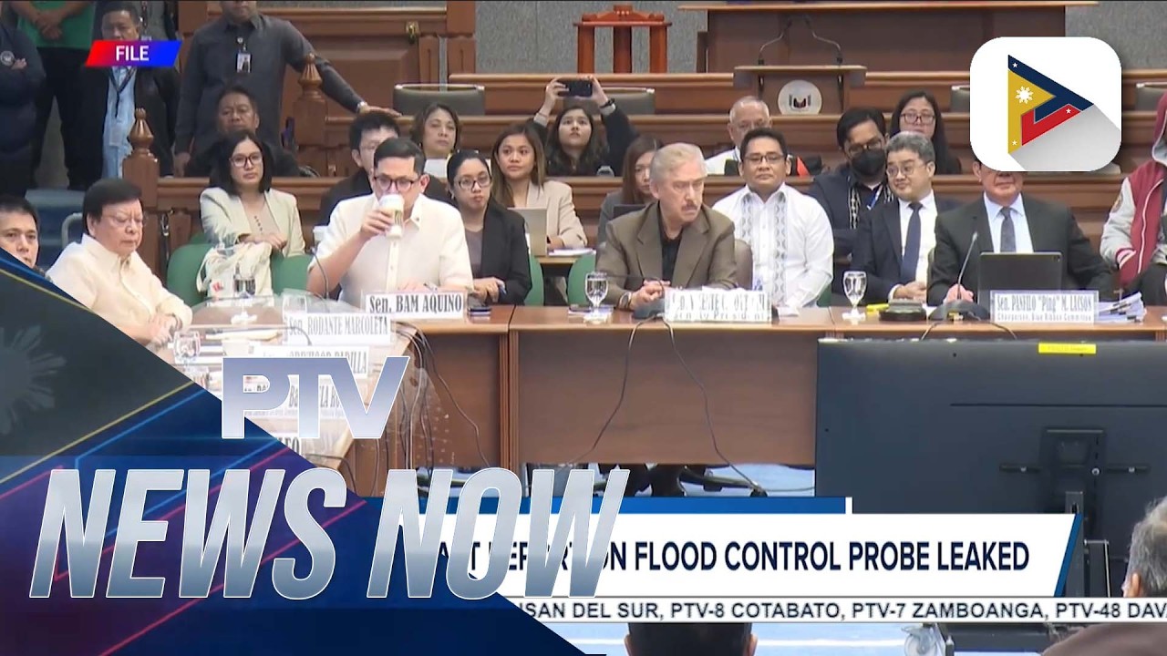 Blue Ribbon draft report on flood control probe leaked
