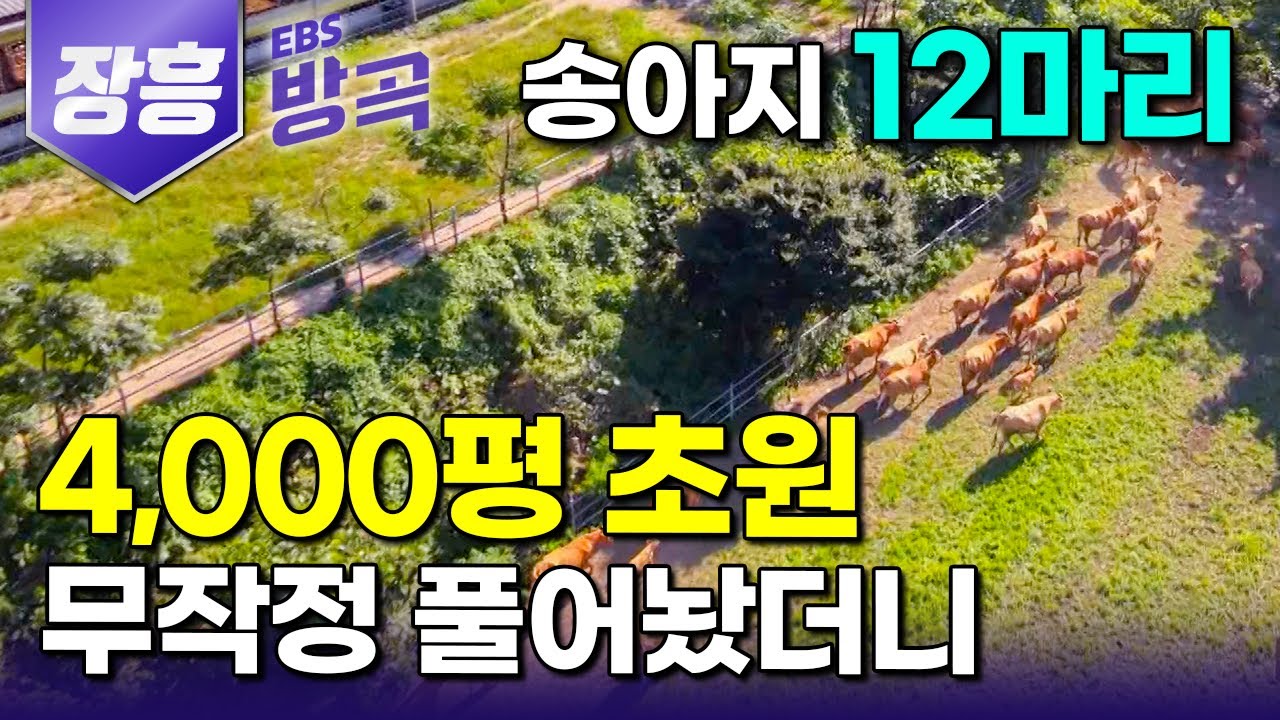 [전남 장흥] 