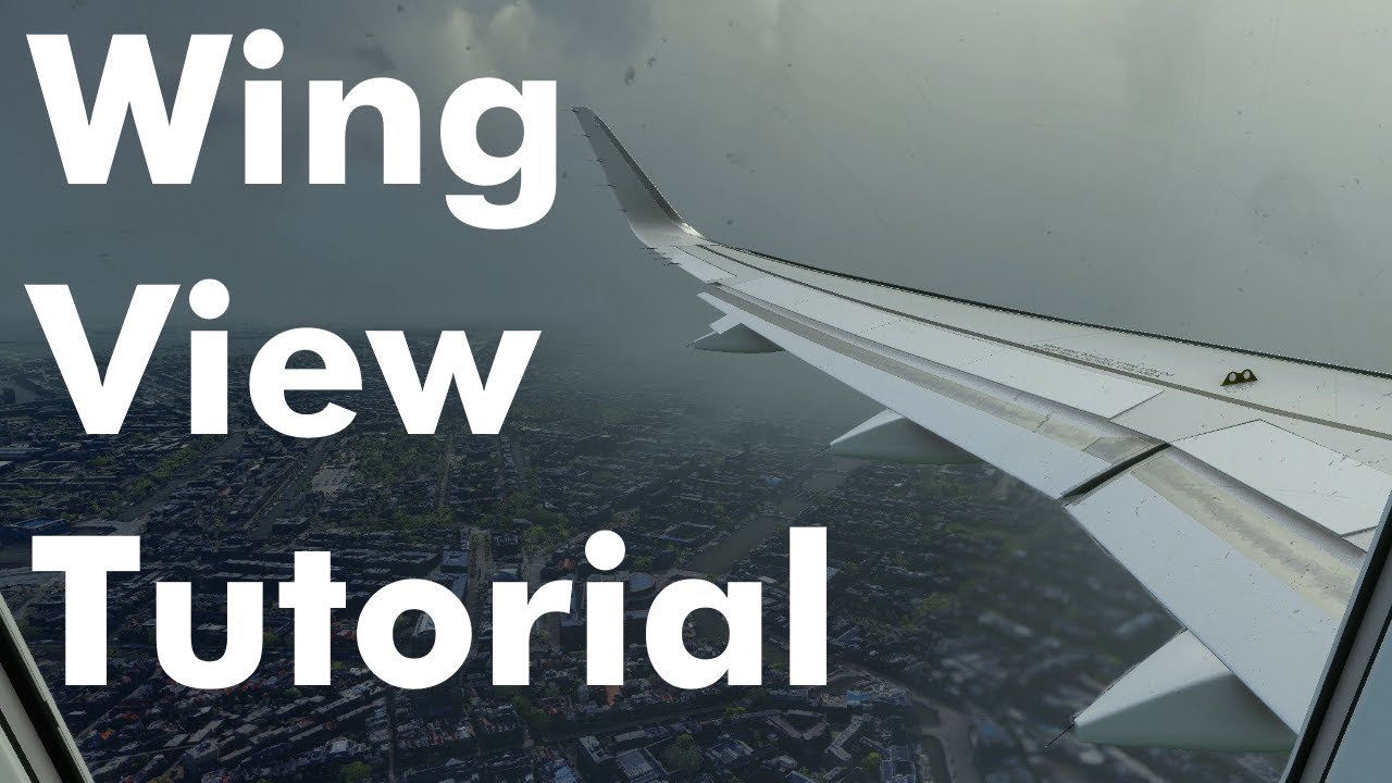 MSFS How To Set Up WING VIEW in 5 Minutes!