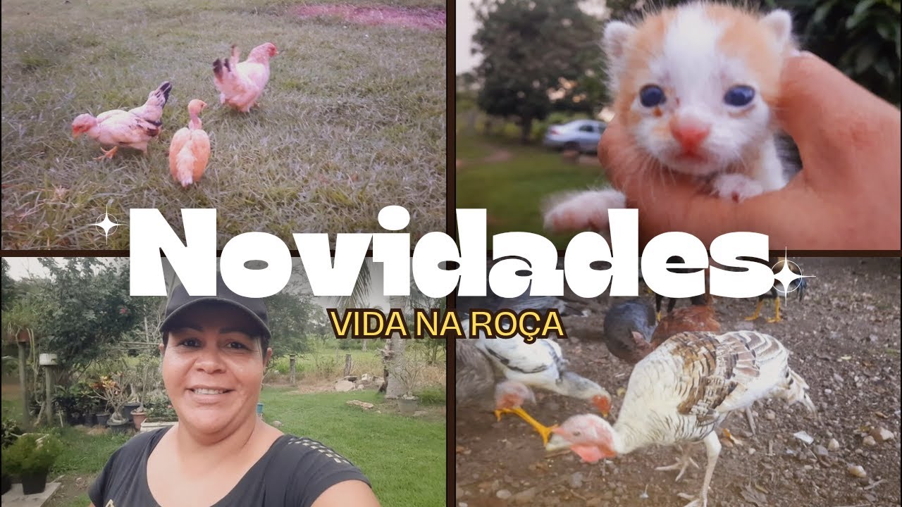 NOVIDADE! novas criações aqui na roça 😍