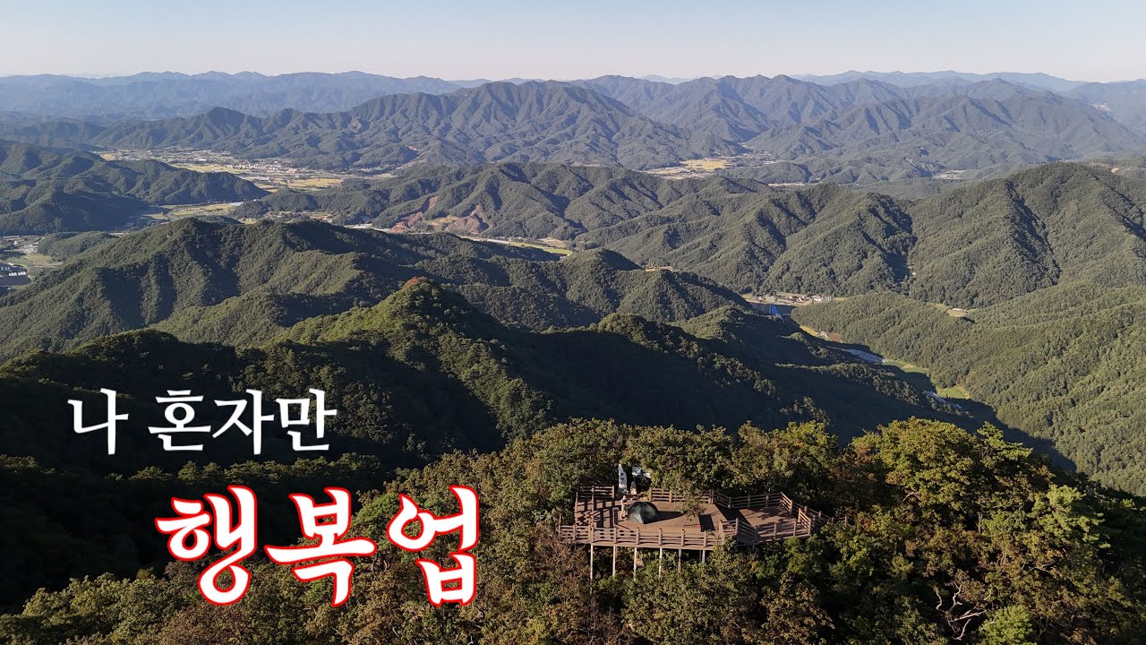 [백패킹] 말차라떼 빛깔 숲 속에서 행복을 만끽하다!// 바쁜 일상 속 8개월 만에 돌아온 활력남쓰