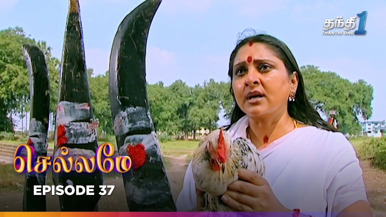 Chellamey | Episode 37 | செல்லமே | Thanthi one | 23th Jan 2026 | Tamil Drama Tv serial