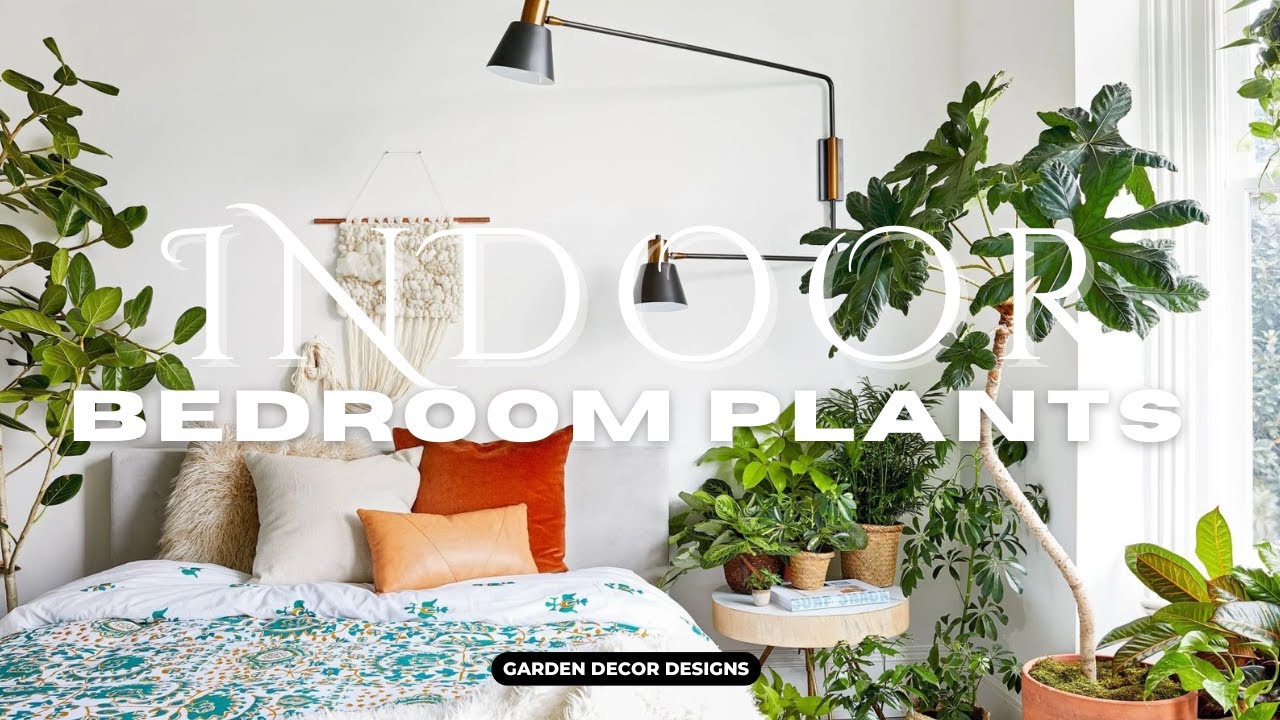 INDOOR PLANTS FOR BEDROOM DECOR IDEAS | BEST INDOOR PLANTS TO PURIFY AIR & REDUCE ANXIETY FAST