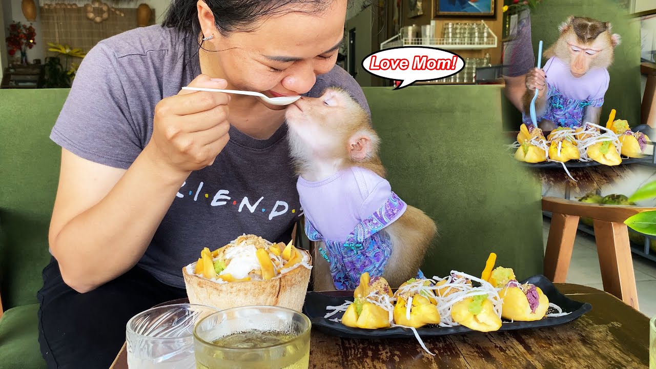 Monkey Lyly suddenly goes to an ice cream shop with her mother to relieve stress.