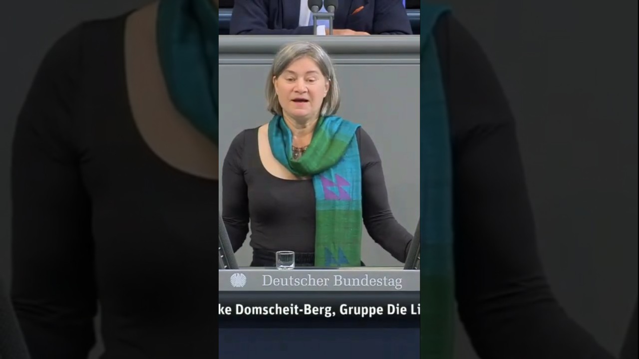 Anke Domscheit-Berg, Die Linke