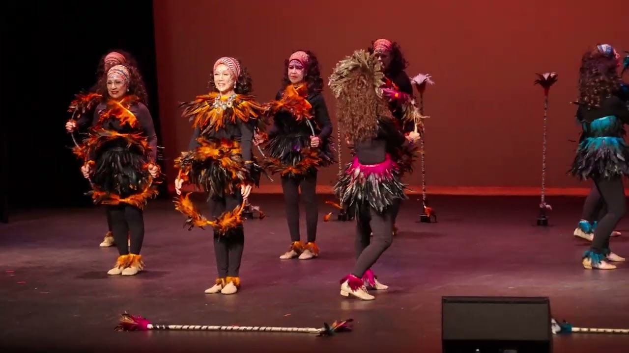 Silver Stars Senior Dance Fitness Troupe Senior Idol 2026 