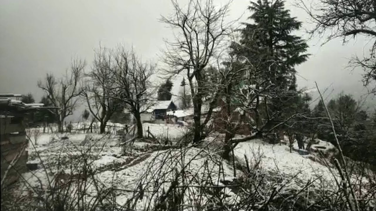 Fresh Snowfall In Doda