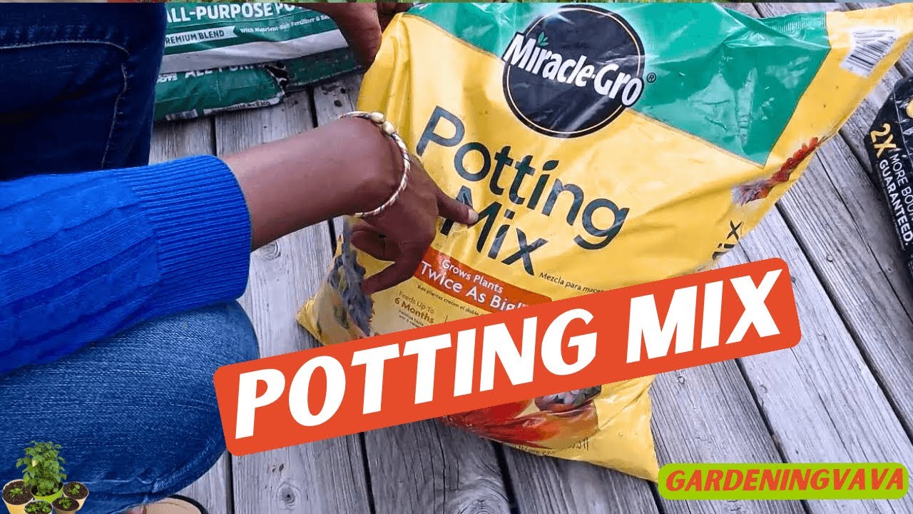 Miracle-Gro Potting Mix Soil Review For Beginners | #Gardeningvava