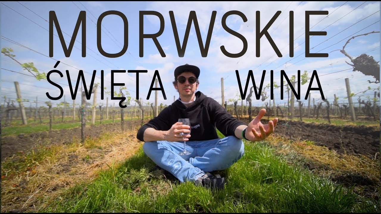 Czym jest Festiwal Otwartych Piwniczek na Morawach?🍷 #morawy