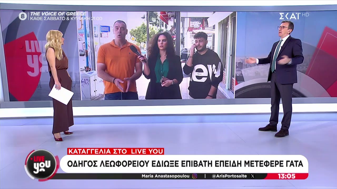 Καταγγελία στο Live You: Οδηγός λεωφορείου έδιωξε επιβάτη επειδή μετέφερε γάτα | Live You