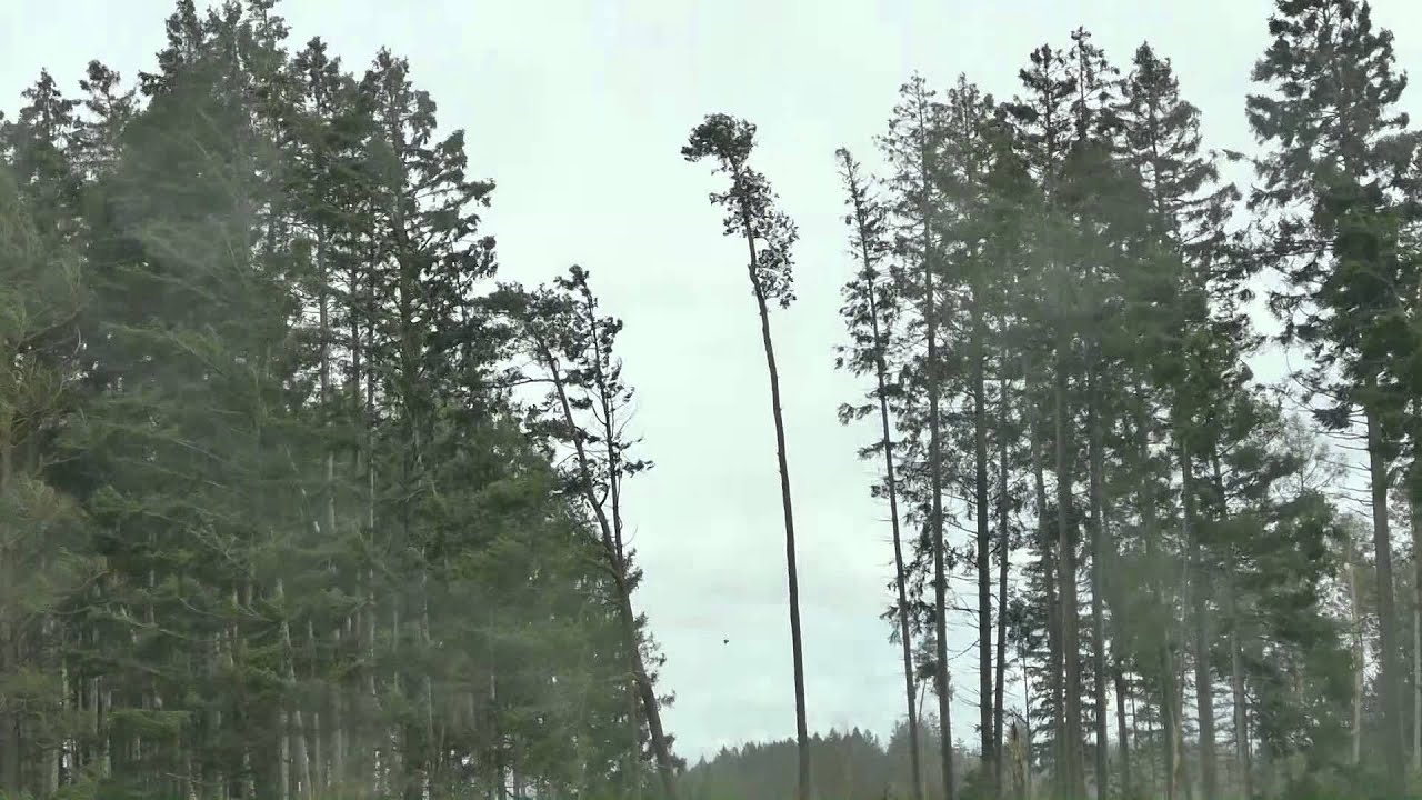 Niklas - Sturm in Marktoberdorf und Umgebung