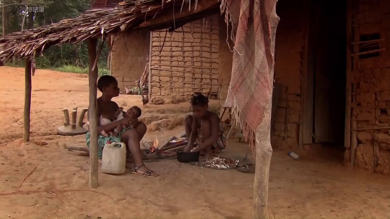 (BBC HD) Tribal Wives, the Babongo, Gabon S02E02 Series Two Episode Two