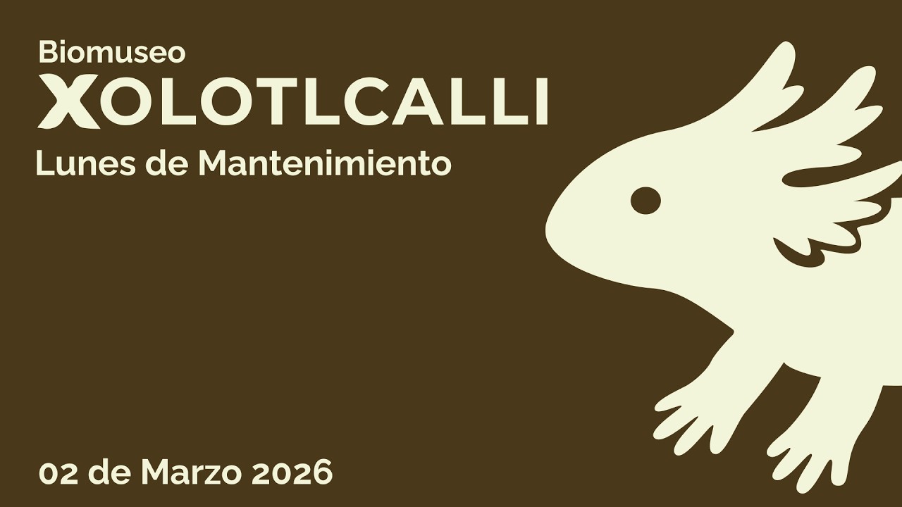 Xolotlcalli Podcast 0