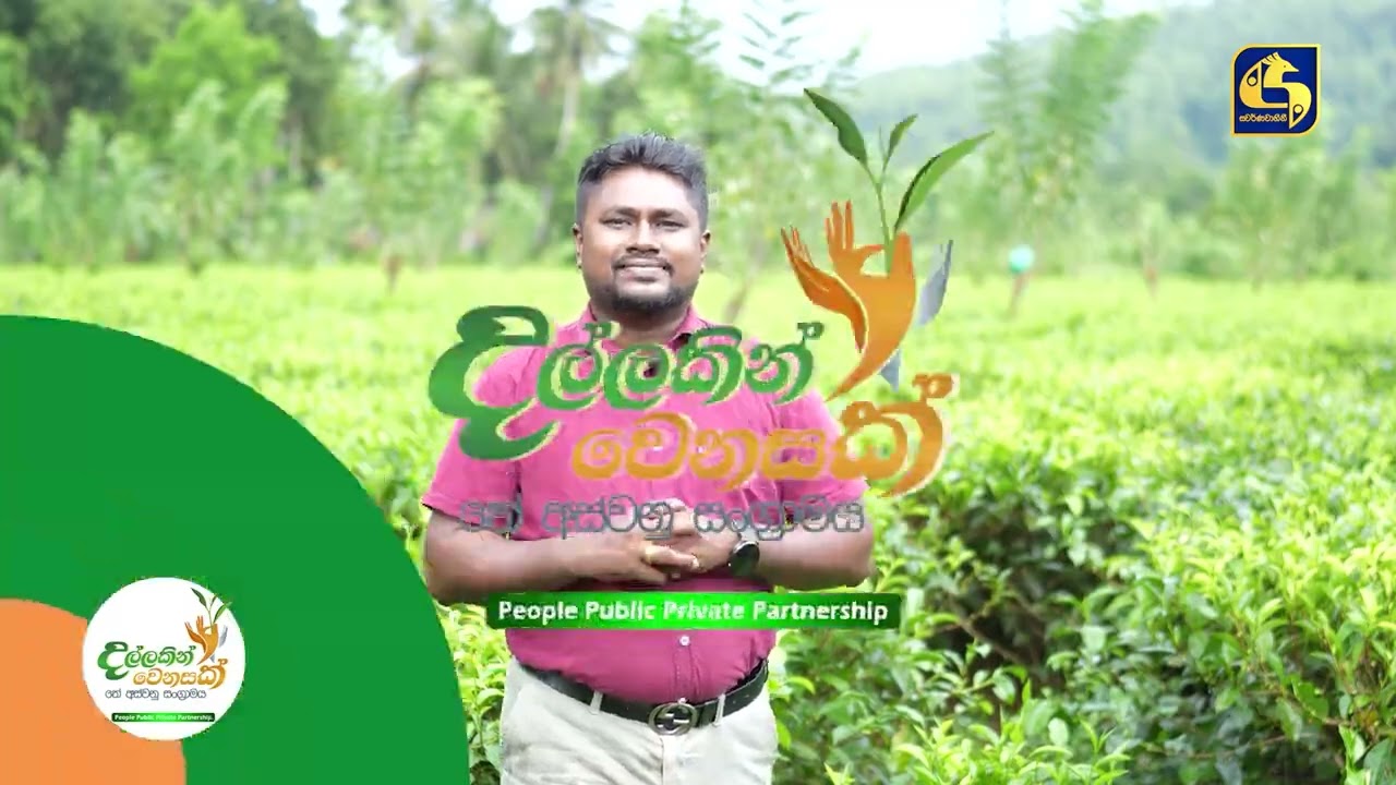 Dallakin Wenasak | දල්ලකින් වෙනසක් - තේ අස්වනු සංග්‍රාමය | Episode 09