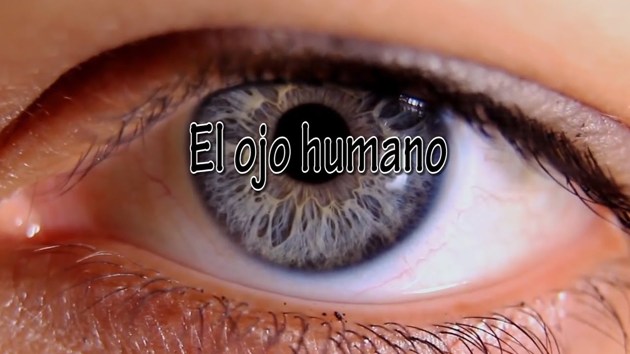 El ojo humano - Poder de acomodaci&oacute;n