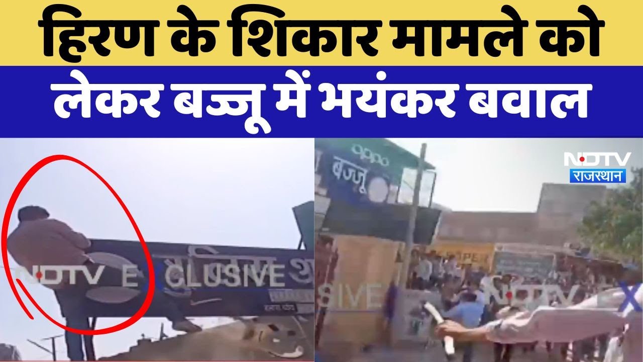 Bikaner Crime: Deer के शिकार मामले को लेकर Bajju में भयंकर बवाल, पुलिस थाने के बाहर पथराव |Rajasthan
