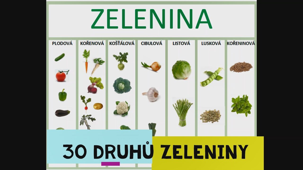 2. pdf karty ZELENINA  &spades;  30 druhů zeleniny  &spades;  3 druhy p&iacute;sma!
