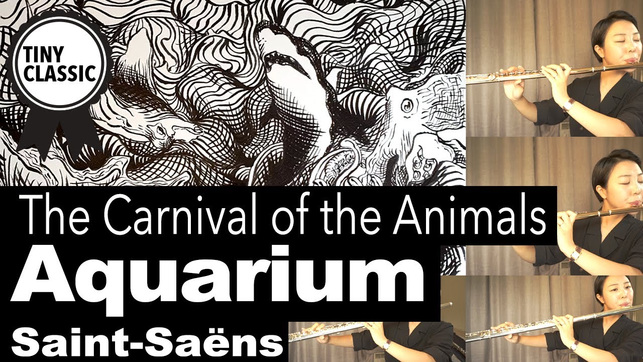 The Carnival of the Animals : (Aquarium) | 동물의 사육제 : 수족관