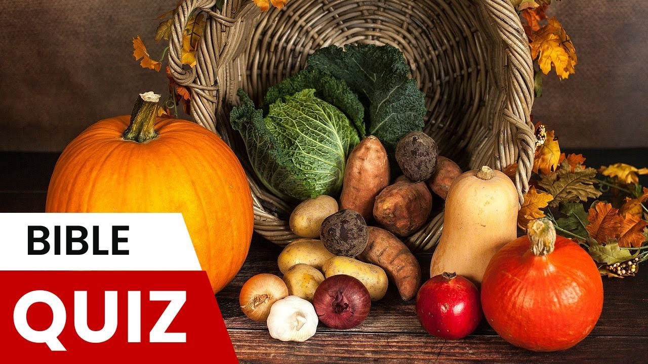 20 вопросов по Библии | Harvest
