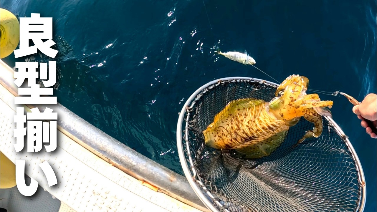 この仕掛けを使うと、何故かモンスターばかり釣れてしまいます