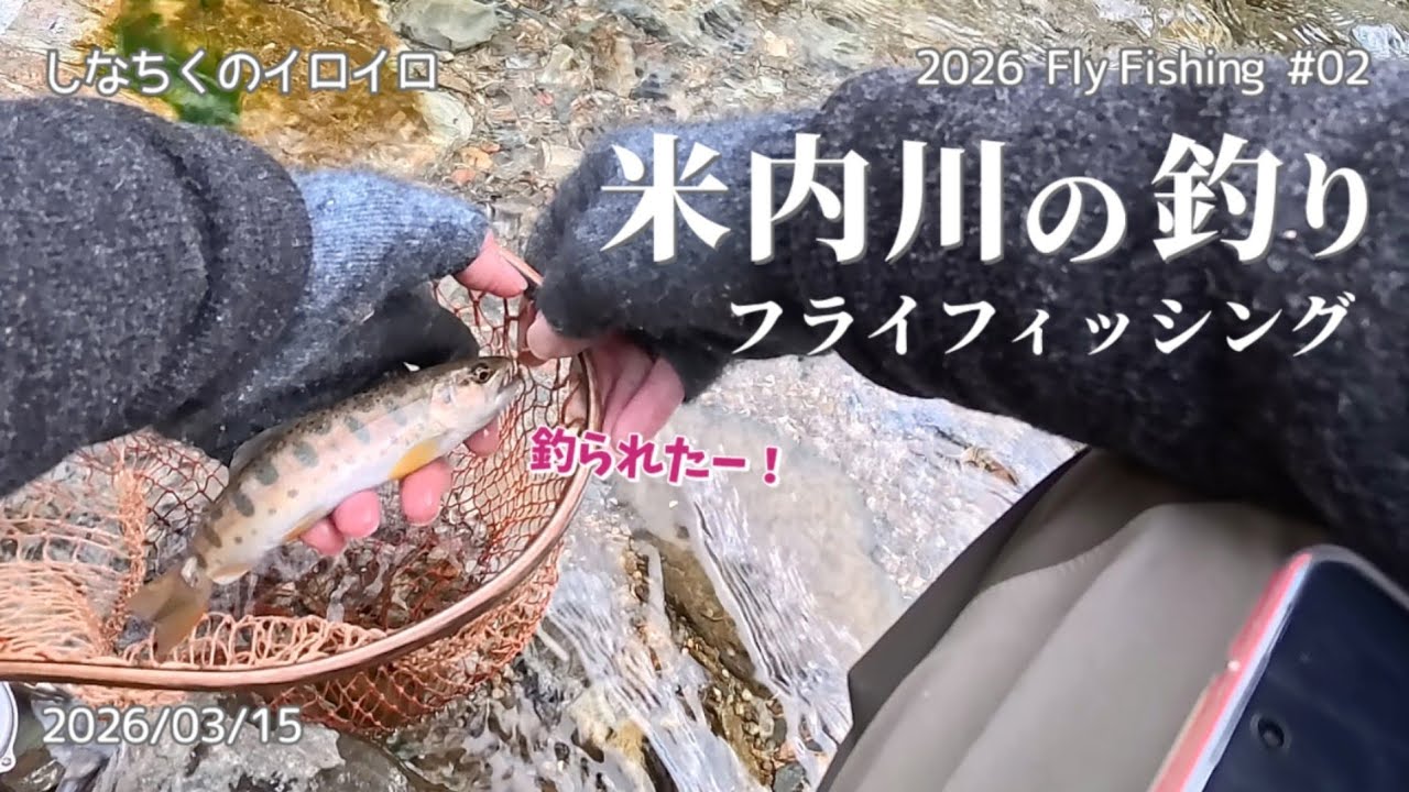 米内川でのフライフィッシング！ 私も解禁しました♪（2026/03/15）