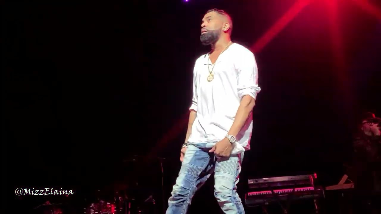 Experience the Magic: Ginuwine Performing 'Differences' Live | R&B Kings Concert - St Louis