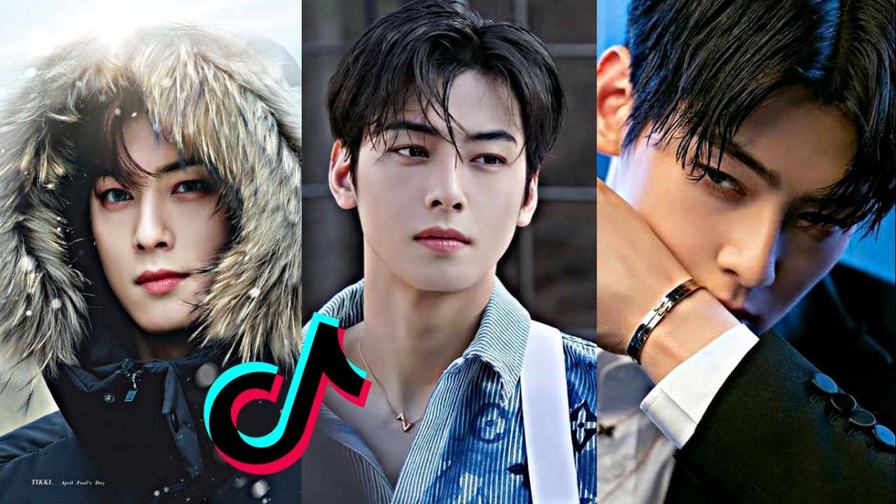 ASTRO TIKTOK COMPILATION ( PART 1) | CHA EUNWOO | Tiktoks 4u