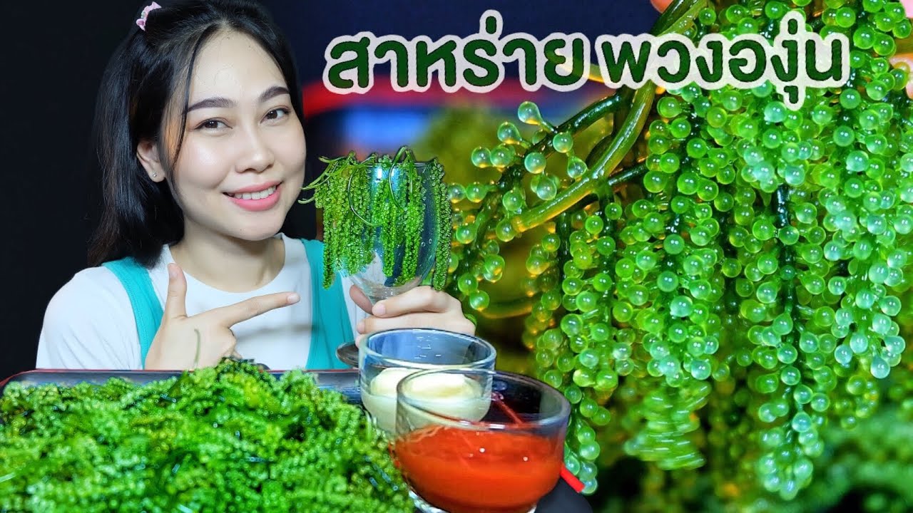 ASMR SEA GRAPES กินสาหร่ายพ่วงองุ่นสดๆกับน้ำสลัดครีมและซอสมะเขือเทศอร่อยๆ