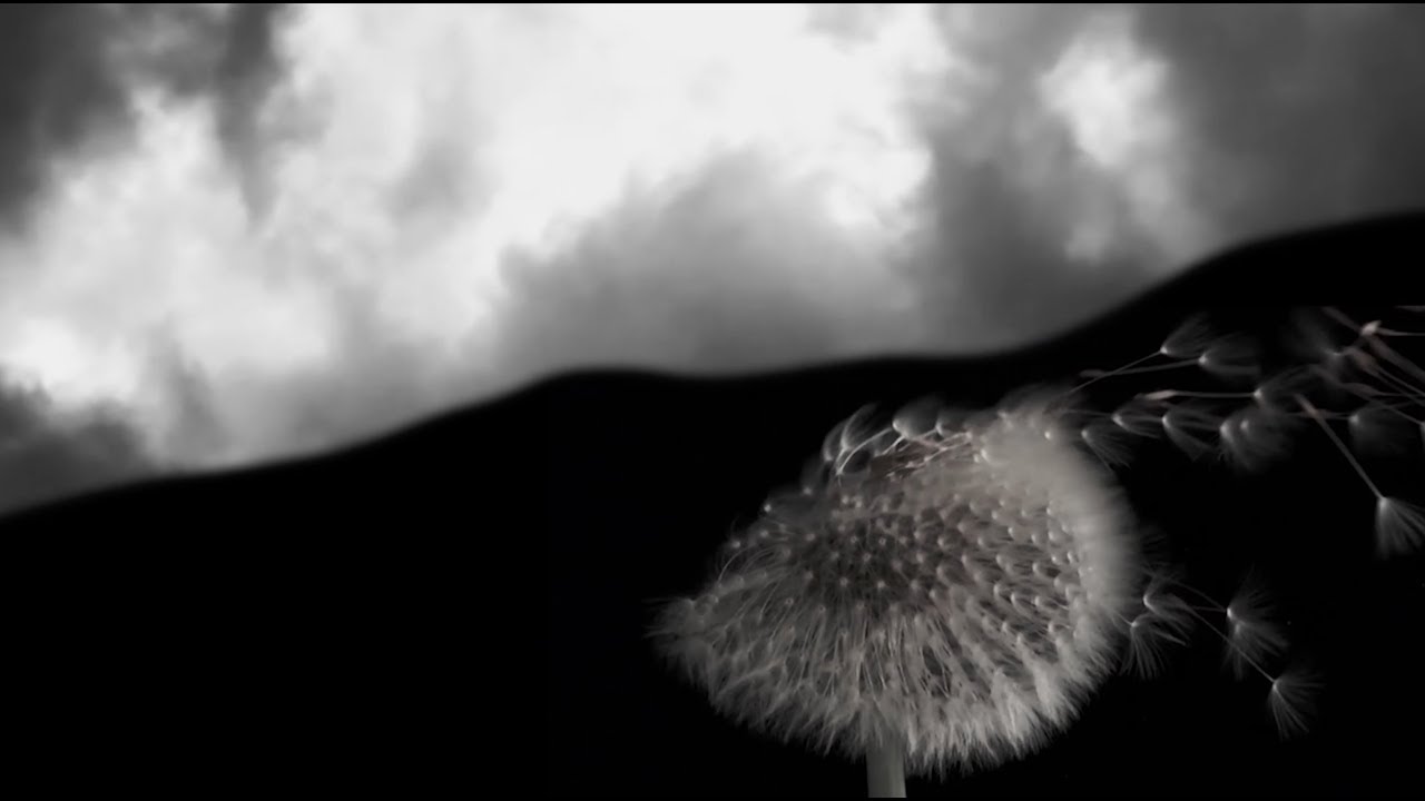 Big Wool - She