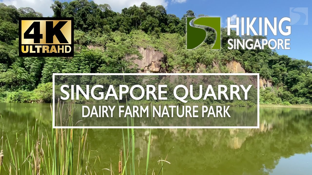 [4K] Singapore Quarry (Dairy Farm Nature Park) - Hiking Singapore