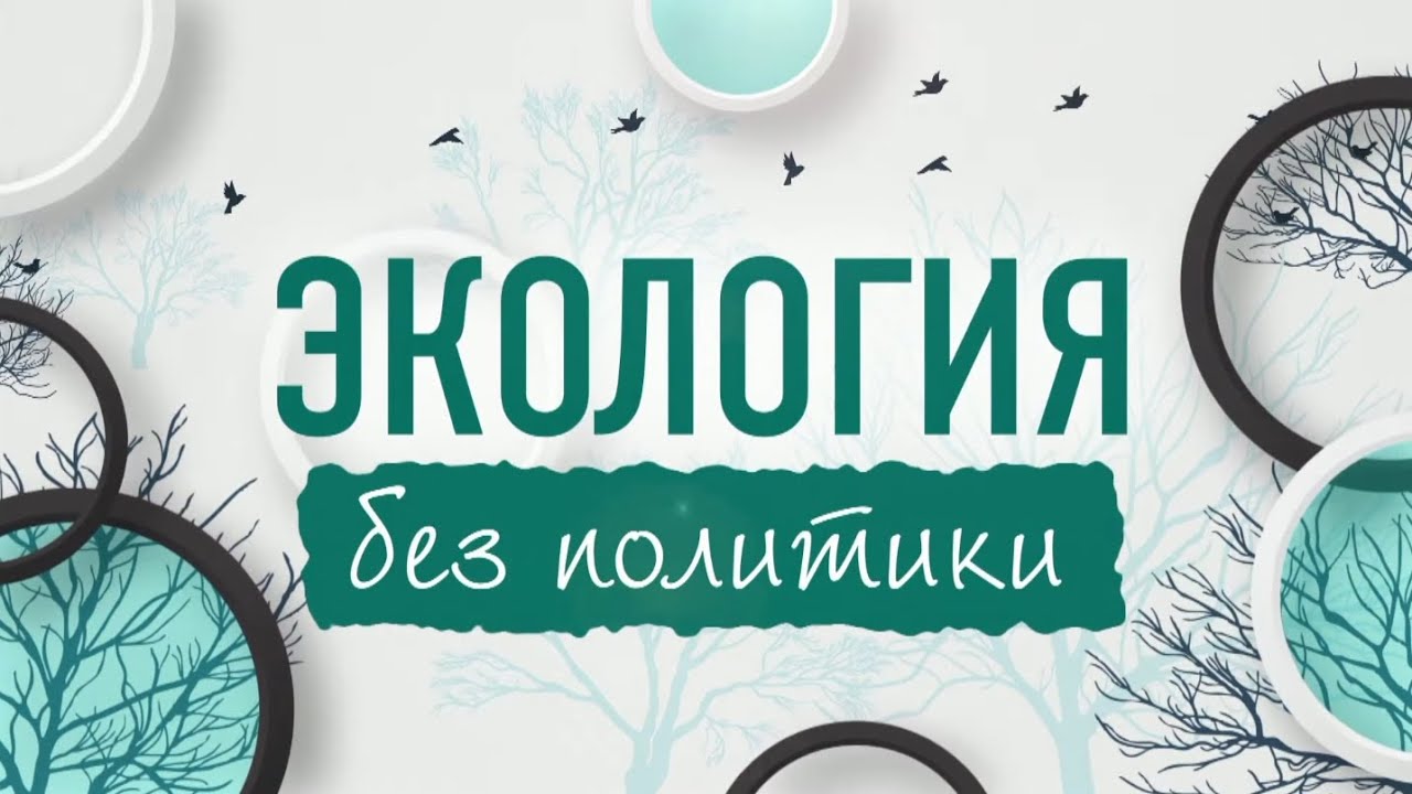 &laquo;Экология без политики&raquo;: &laquo;Айский сервитут&raquo;