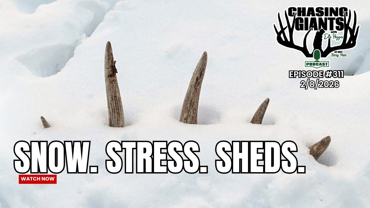 Snow, Sheds & Sorghum: Late-Season Deer Survival | Chasing Giants #311