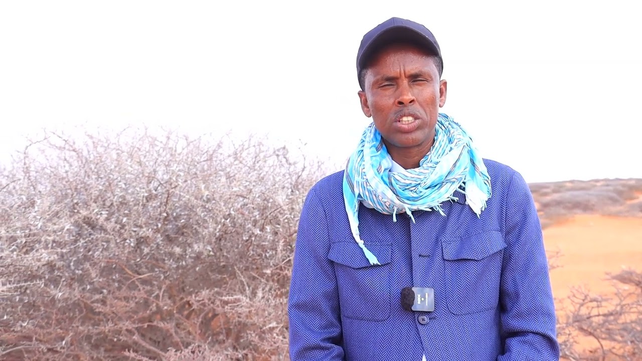 Wasaaradda Gargaarka Dowlad Goboleedka Galmudug oo shaacisay abaaro saameyn xooggan ku yeesheen.