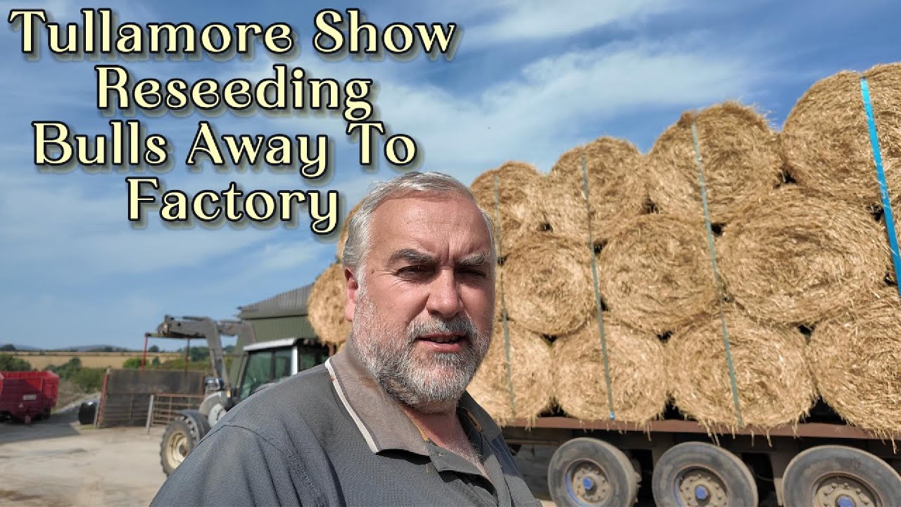 Tullamore Show 2025/Reseeding Grass, Drawing Straw and Factory Results