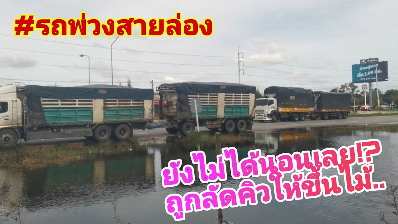 ยังไม่ทันจะได้นอน..!!  โดนลัดคิวให้ขึ้นไม้... 