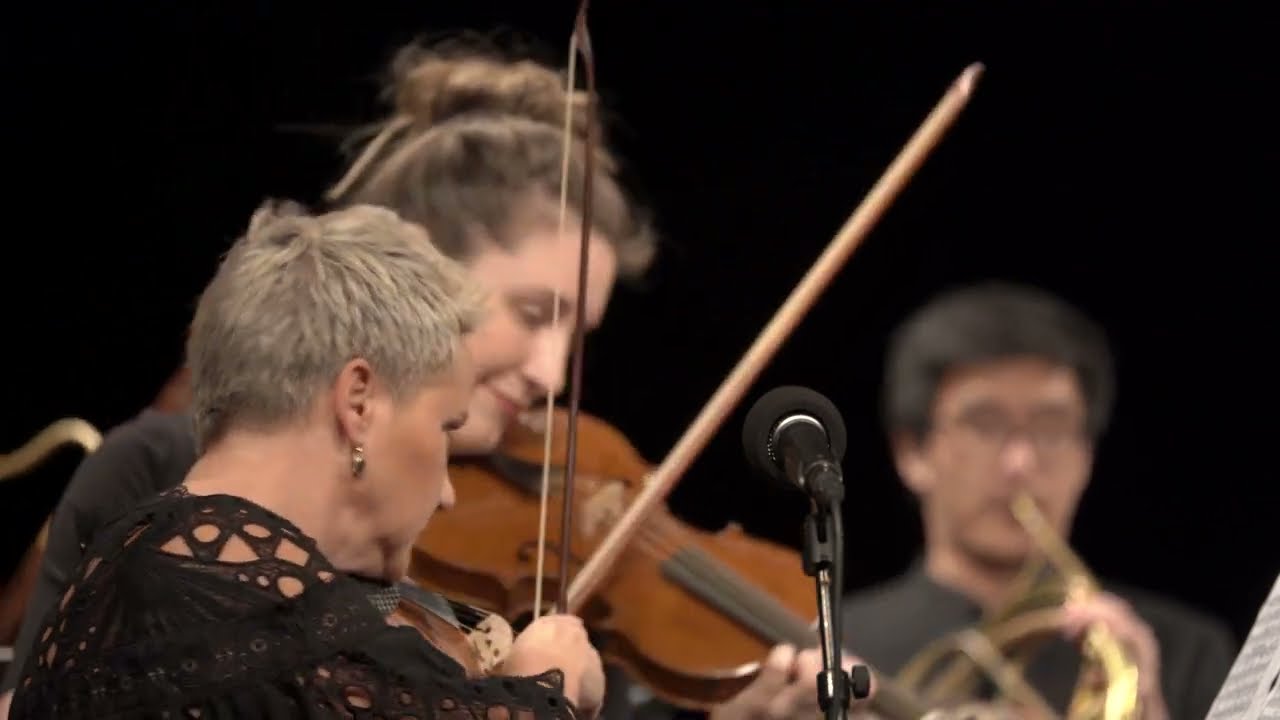Vaňhal - Symphony in C major, Bryan C9 - CROATIAN BAROQUE ENSEMBLE