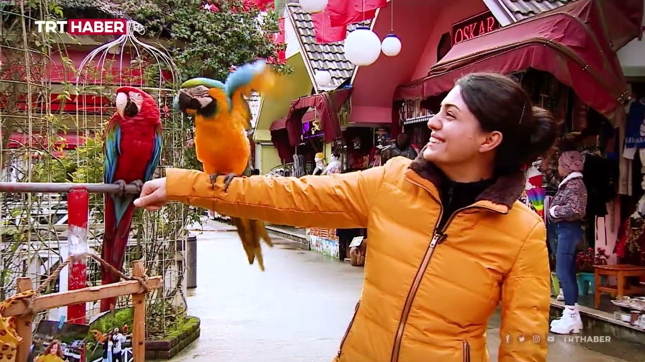 Gezi Rotası: Sapanca