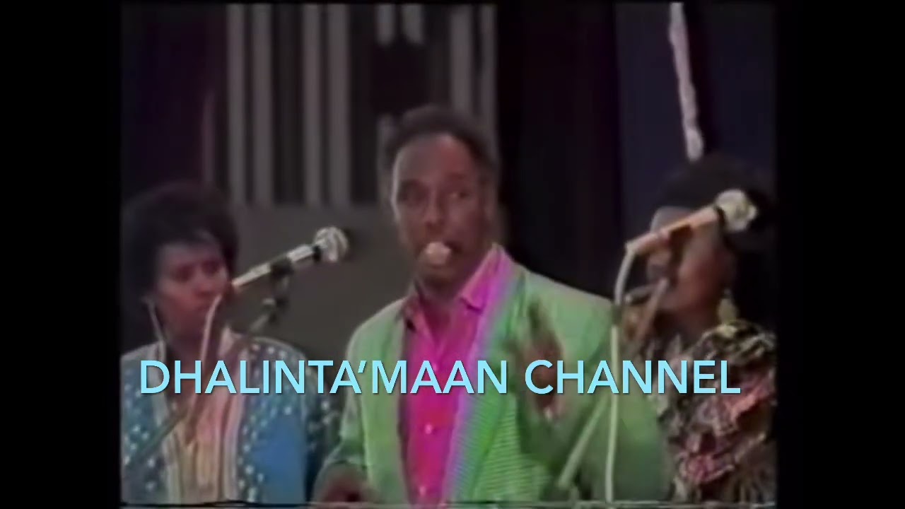 Abwan sangub iyohobalada wabari daadis qosol kaliya😂 #somalia #somalitiktok #mogadishu #somaliland