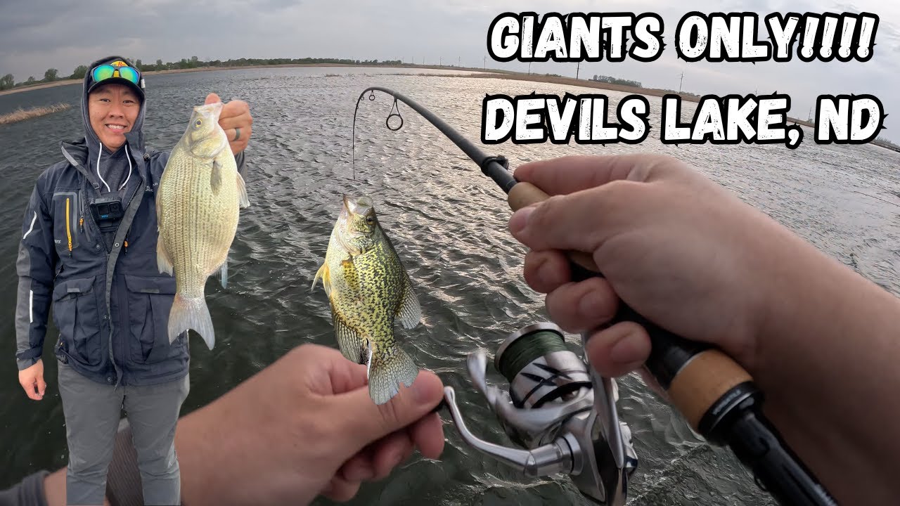 Catching GIANTs at Devils Lake, ND - Giant Walleye, White Bass and Crappies!