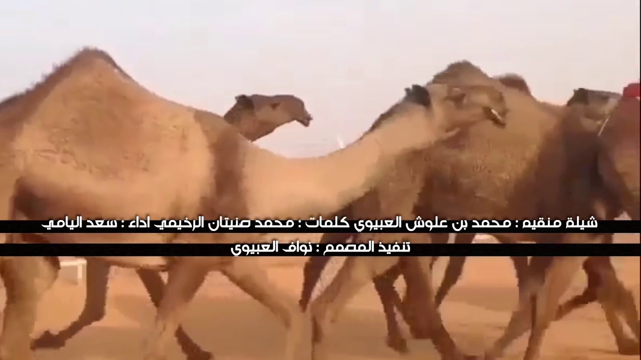 شيله منقيه محمد بن علوش العبيوي كلمات : محمد صنيتان الرخيمي اداء : سعد اليامي