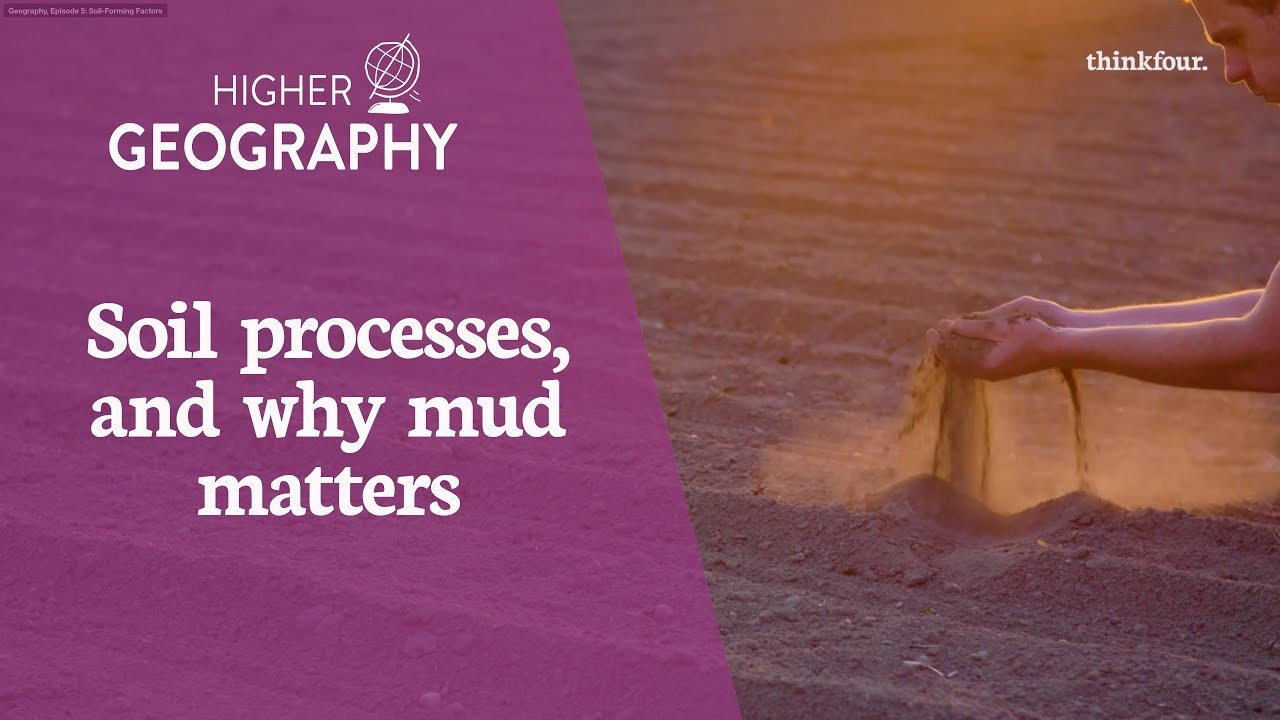 Higher Geography - Soil forming factors and processes