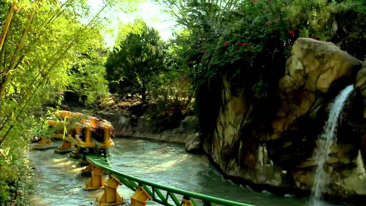 Behind the Thrills on Cheetah Hunt at Busch Gardens Tampa