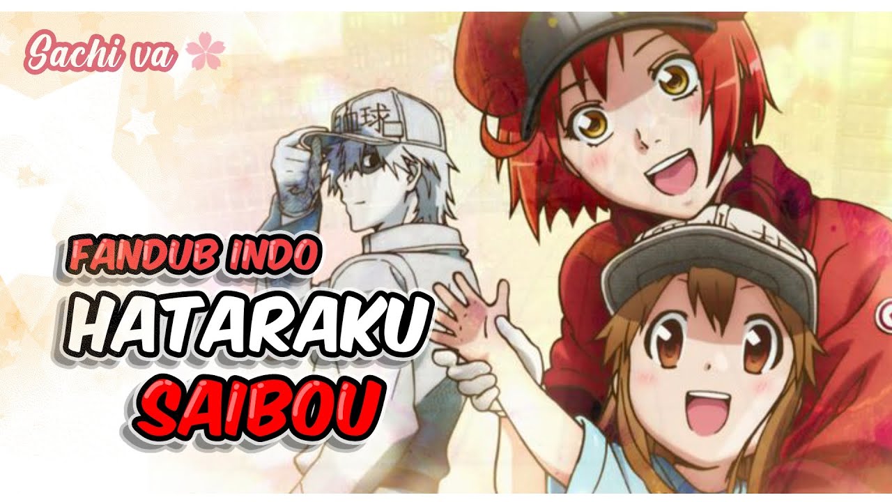 Fandub Indonesia Hataraku Saibou | Voice Acting Indonesia