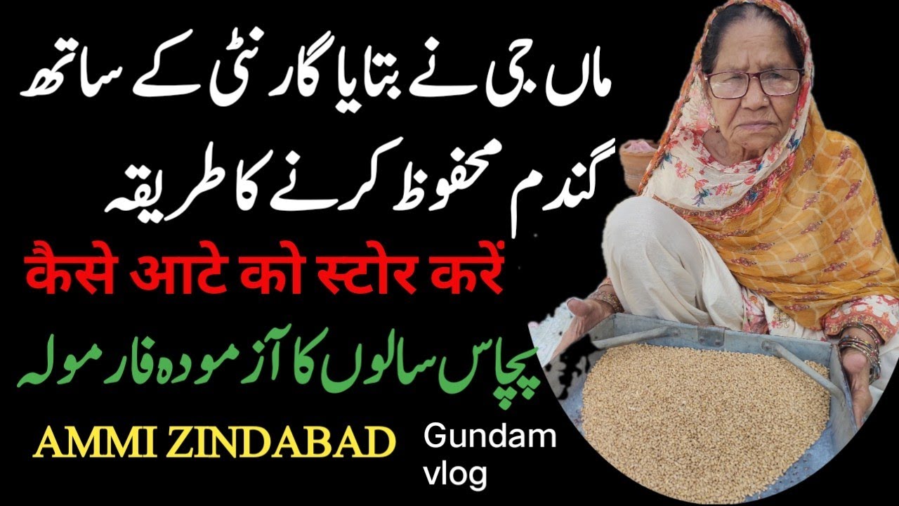 How to store wheat | گندم محفوظ کرنے کا طریقہ | Gundam ko store karne tariqa| कैसे आटे को स्टोर करें