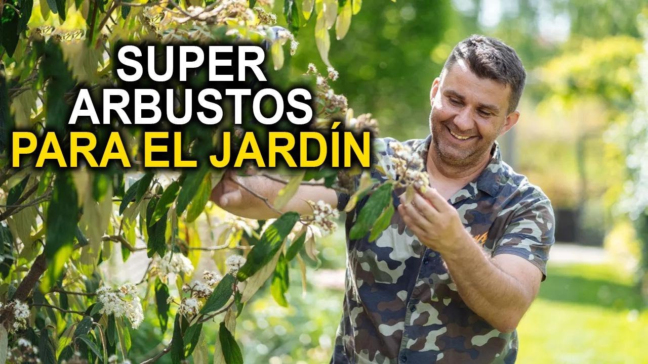 5 arbustos que transformar&aacute;n tu jard&iacute;n &iexcl;Los favoritos de todos los amantes de la jardiner&iacute;a!