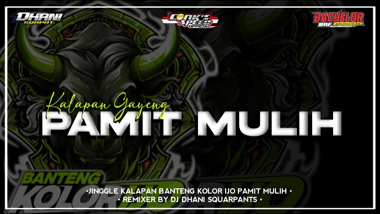 DJ BANTENGAN | PAMIT MULIH | BANTENG KOLOR IJO | VIRAL TIKTOK | BY DJ DHANI SQUARPANTS