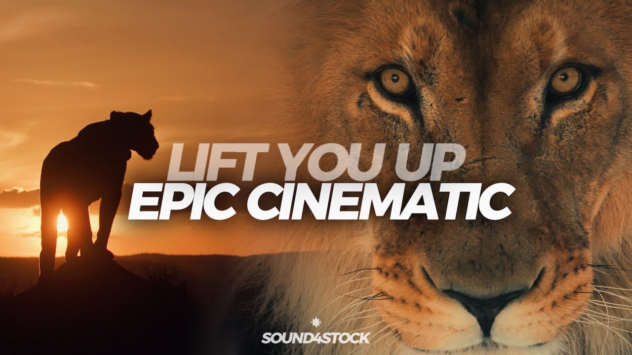 Epic Cinematic Wildlife Music | Lift You Up | Inspirational Nature Trailer | Sound4Stock