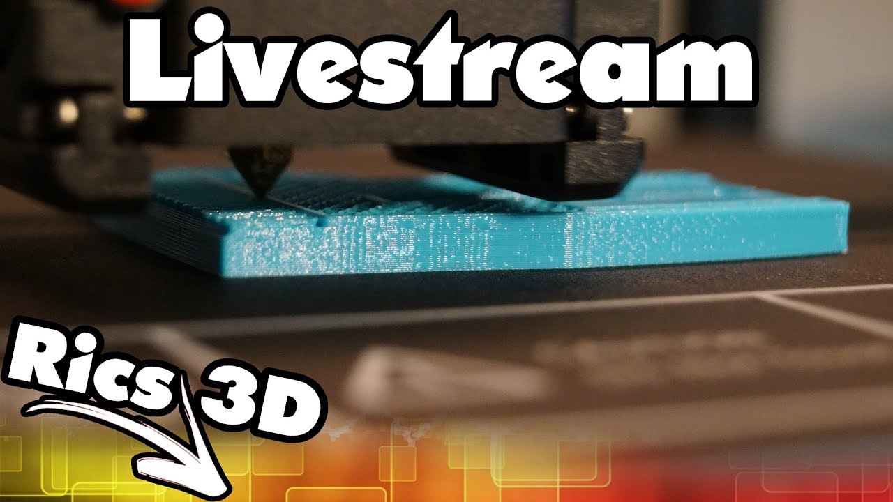 Rics_3D // Zwei Baustellen // Livestream